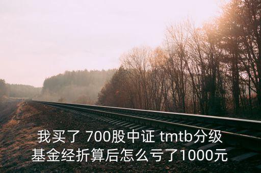 tmtb基金是什么股票，我買了 700股中證 tmtb分級基金經折算后怎么虧了1000元