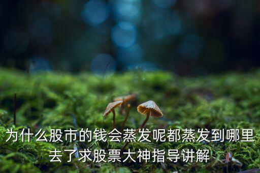 為什么股市的錢會蒸發呢都蒸發到哪里去了求股票大神指導講解