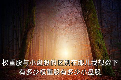 權重股與小盤股的區別在那兒我想數下有多少權重股有多少小盤股