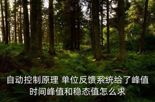 自動控制原理 單位反饋系統給了峰值時間峰值和穩態值怎么求