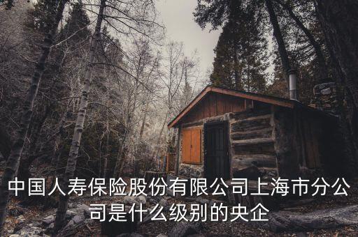市屬國企是什么級別，省屬和市屬企業(yè)的界定標(biāo)準(zhǔn)是什么