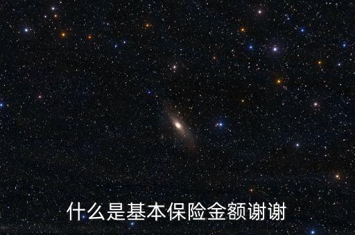 什么叫基本保險(xiǎn)金額，基本保險(xiǎn)金額是什么意思