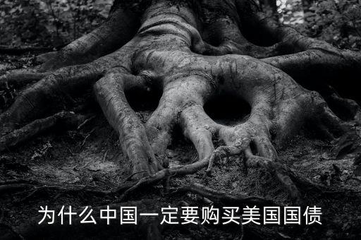 中國為什么買美國的國債，中國為什么要買那么多美國國債能不能說得通俗一點我不太懂經濟