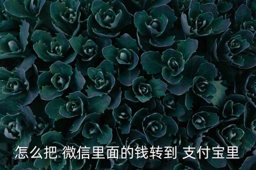 怎么把微信錢支付寶,如何從微信轉到支付bao?