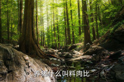大康牧業豬的料肉比怎么算,對牛肉胴體理解不同所得肉肉比不同