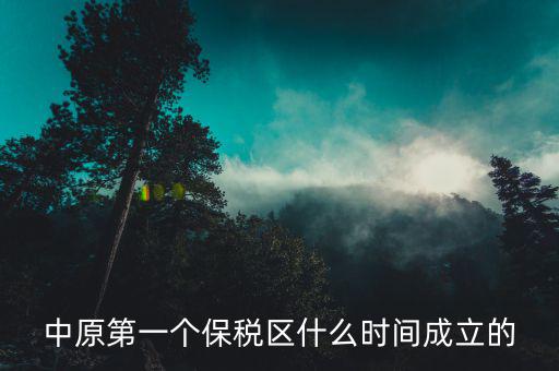 新泰保稅區什么時間投建，中原第一個保稅區什么時間成立的