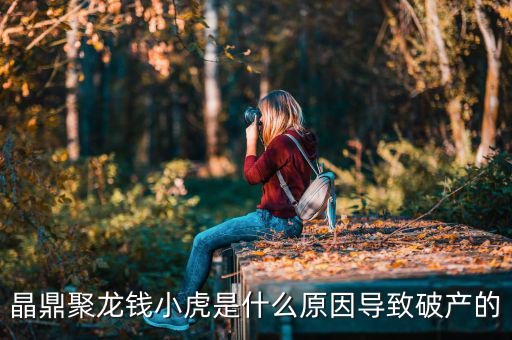 晶鼎聚龍錢小虎是什么原因導致破產的