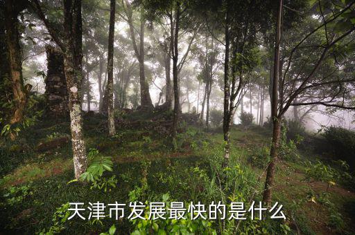 天津靠什么發展，天津市發展最快的是什么