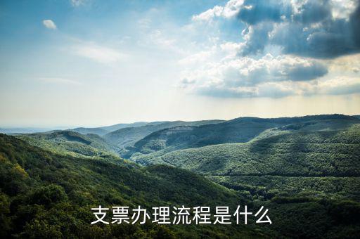 怎么申請支票,比爾·勞》第八十一條出現在銀行或其他金融機構