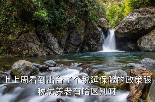 上上周看到出臺了個稅延保險的政策跟稅優養老有啥區別呀
