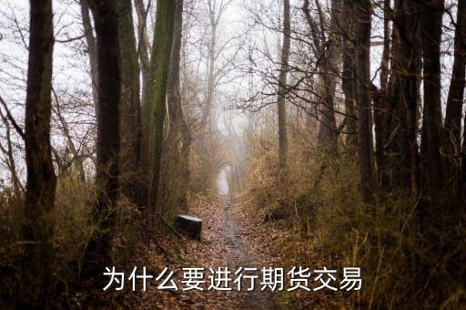 為什么國內期貨，為什么要做期貨投資