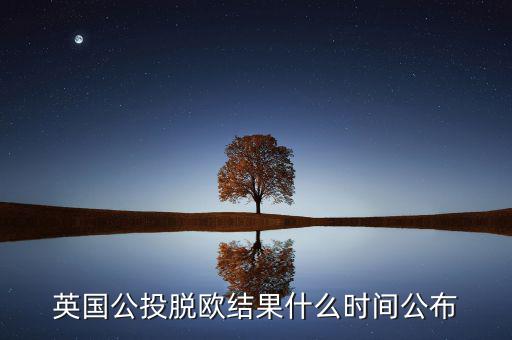 英國公投脫歐結果什么時間公布