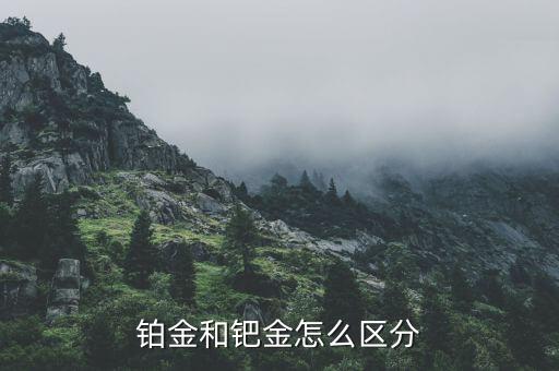 鉑金和鈀金怎么區分