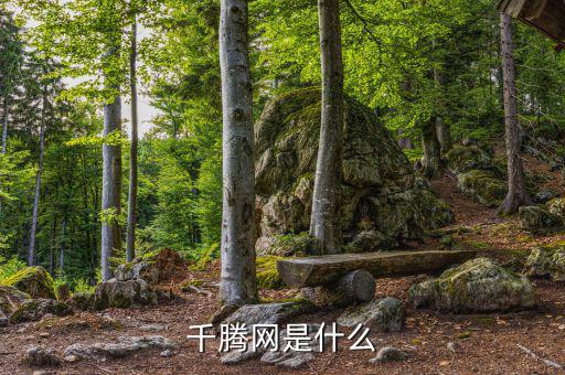 千微網是什么，千庫網是做什么的
