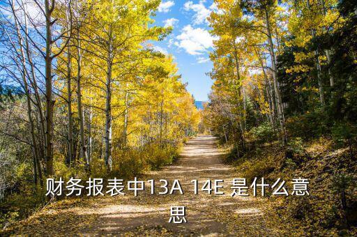 財務報表中13A 14E 是什么意思