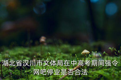 湖北省漢川市文體局在中高考期間強令網吧停業是否合法