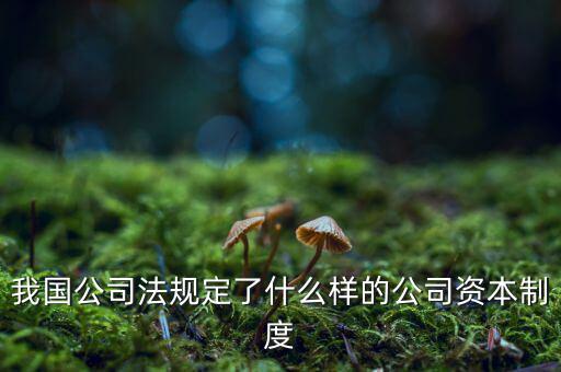 我國公司法規定了什么樣的公司資本制度