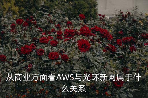 從商業方面看AWS與光環新網屬于什么關系