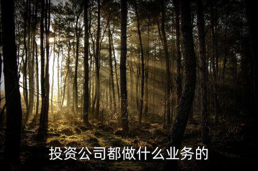 投資公司都做什么業務的