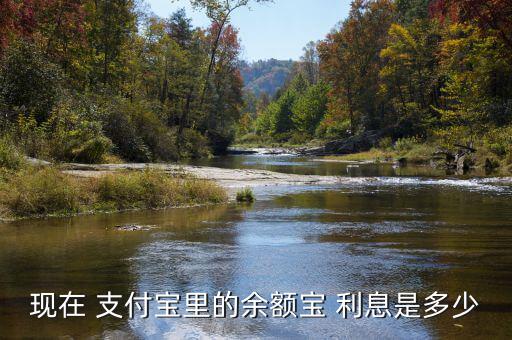 現在 支付寶里的余額寶 利息是多少
