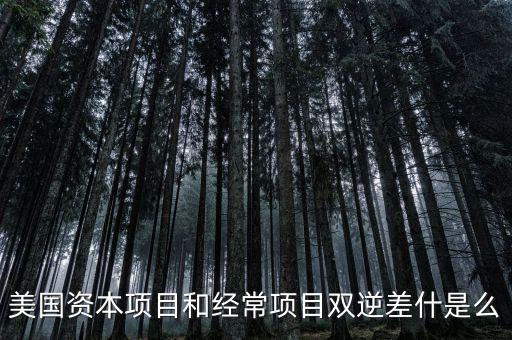 美國資本項目和經常項目雙逆差什是么