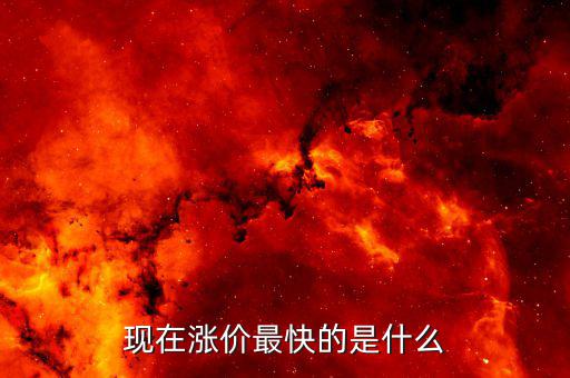 現在漲價最快的是什么