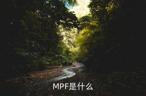 mpf是什么費用，網購中的EMS費用是什么費用