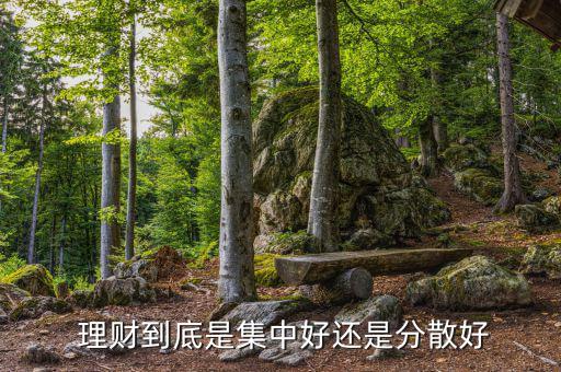 大王理財怎么樣,理財規劃與投資理財指南