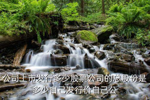 公司上市發行多少股票公司的總股份是多少自己發行價自己公