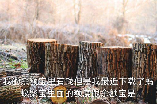 有什么軟件像存金寶那樣的，類似支付寶的理財產品有哪些