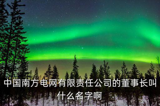 中國南方電網有限責任公司的董事長叫什么名字啊