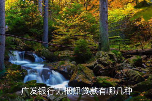 廣發自信一貸怎么使用,廣發自信一貸是無抵押信用貸款嗎?