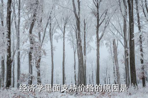 經濟學里面支持價格的原因是