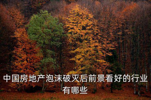房地產(chǎn)泡沫后什么行業(yè)賺錢，如果真有一天中國房地產(chǎn)泡沫破了我們做點什么賺錢呢或者說有