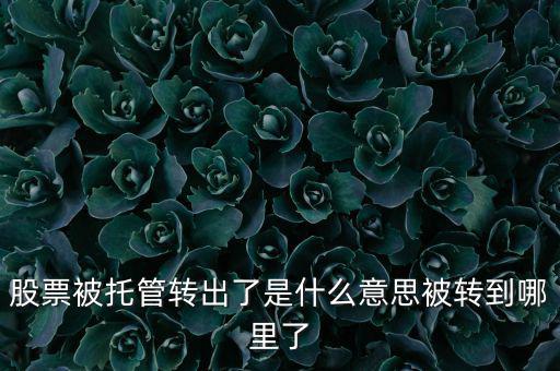 股票被托管轉出了是什么意思被轉到哪里了