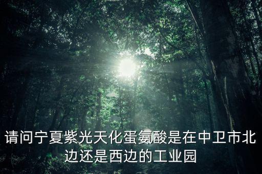 請問寧夏紫光天化蛋氨酸是在中衛市北邊還是西邊的工業園