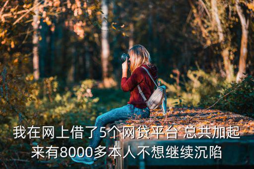 什么網貸能帶8000，今年二十我想貸款八千現有工作分是還款靠譜有好心人幫忙指點