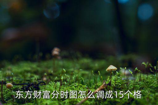 東方財富分時圖怎么調成15個格