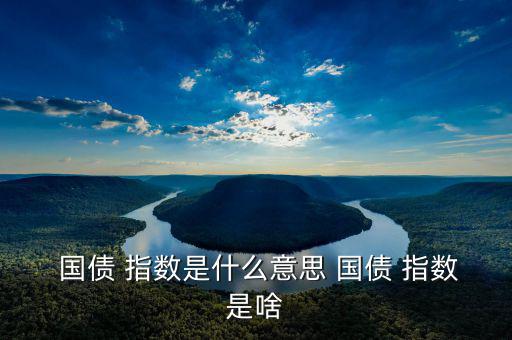  國債 指數是什么意思 國債 指數是啥