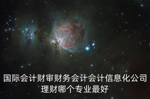 財審會是什么，國際會計財審財務會計會計信息化公司理財哪個專業最好