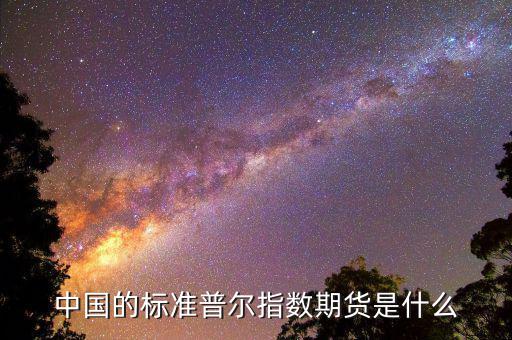 什么是國內期貨指數，中國的標準普爾指數期貨是什么