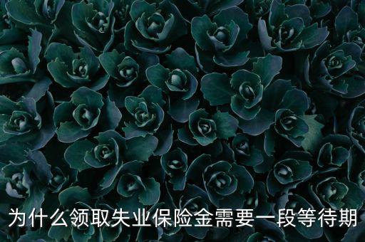 失業保險為什么應設等待期限，為什么領取失業保險金需要一段等待期