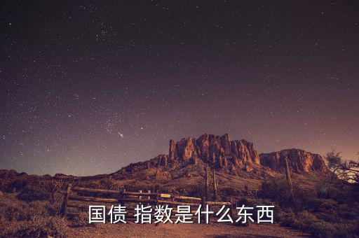 國債指數怎么看,美國十年國債futures指數