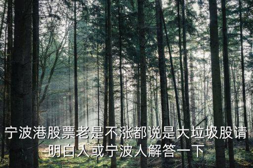 寧波港股票老是不漲都說是大垃圾股請明白人或寧波人解答一下