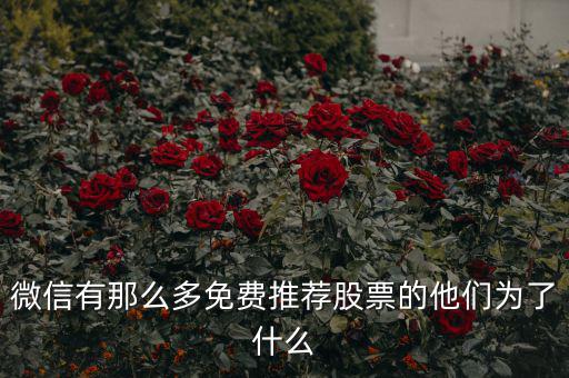 免費股票為什么，微信有那么多免費推薦股票的他們為了什么