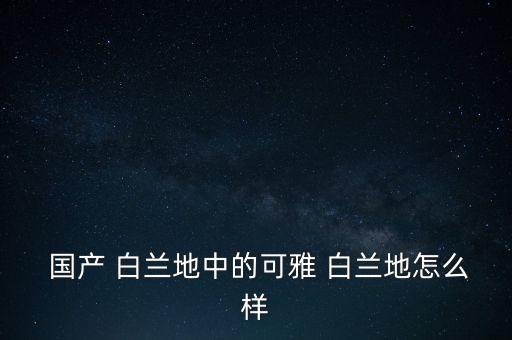  國產 白蘭地中的可雅 白蘭地怎么樣