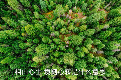 相由心生 境隨心轉是什么意思