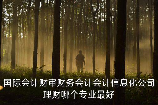 國際會計財審財務會計會計信息化公司理財哪個專業最好