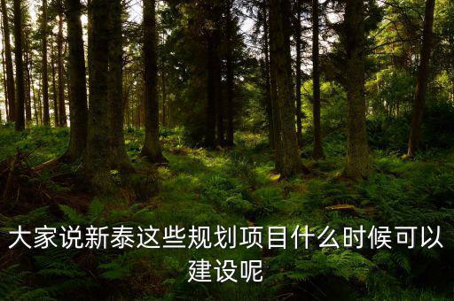 大家說新泰這些規劃項目什么時候可以建設呢