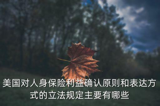 美國對人身保險利益確認原則和表達方式的立法規定主要有哪些